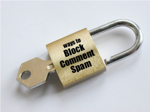 how-to-stop-spam-comments-on-a-stand-alone-wordpress-blog